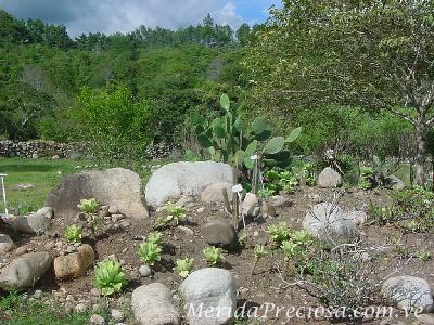 Jard�n Bot�nico de M�rida, Venezuela